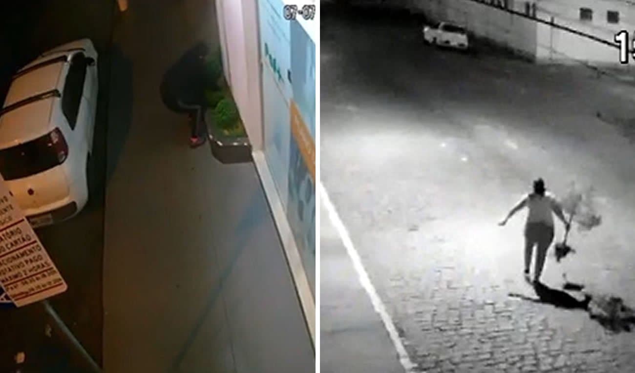 Homem assume que furtou vasos, diz estar arrependido e que faz tratamento psiquiátrico