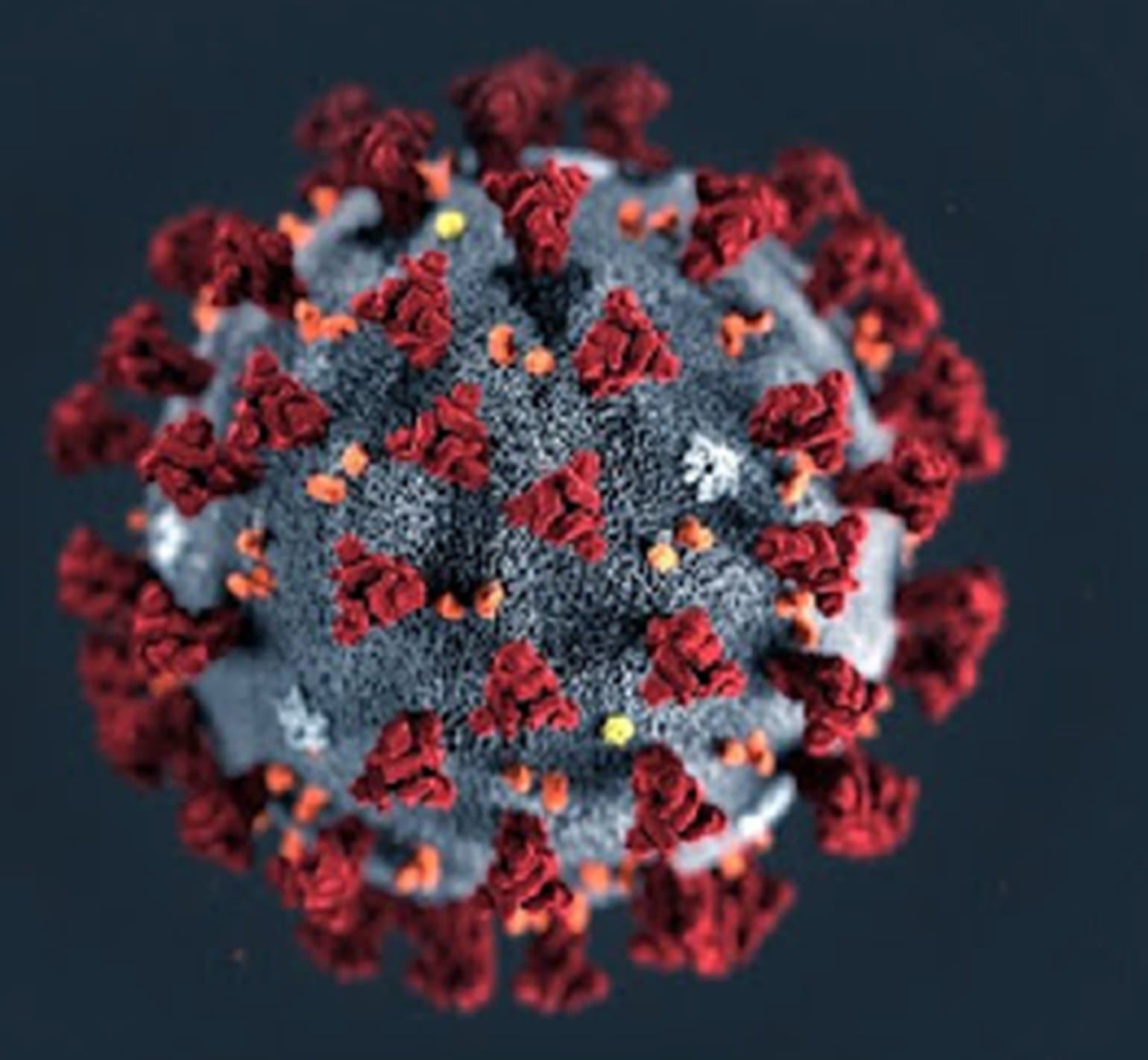 Alguns números da COVID-19 na saúde e na economia