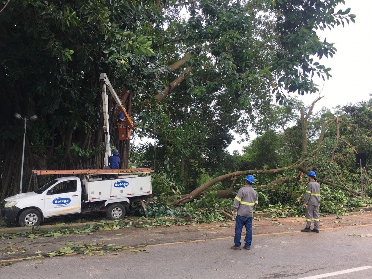 Trabalho de corte de mamoneiras, trepadeiras e cipós avança nas margens do Rio Tubarão