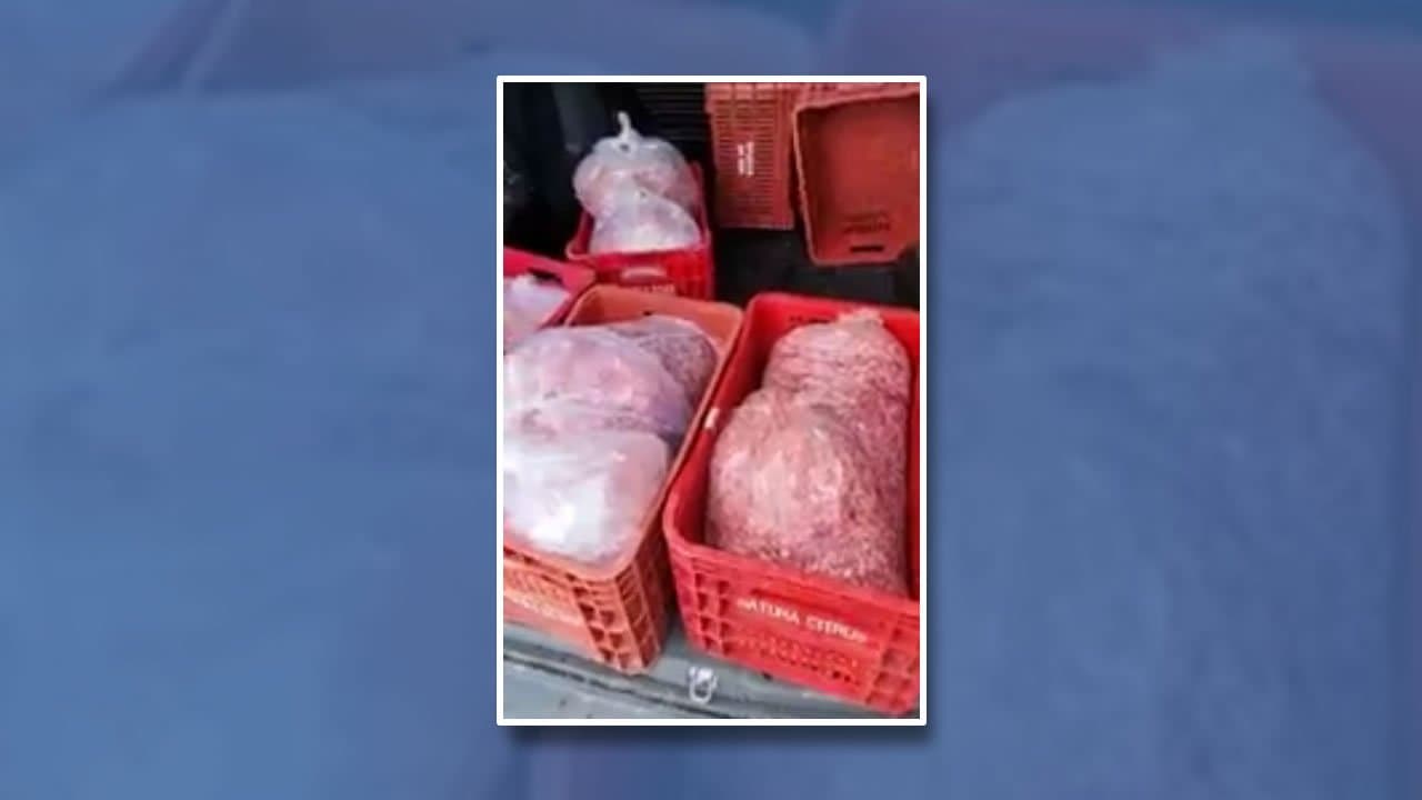 Carne transportada sem refrigeração é apreendida