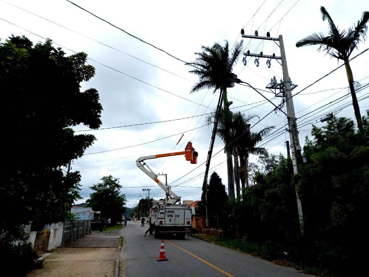 Defesa Civil realiza podas de árvores com riscos à rede elétrica