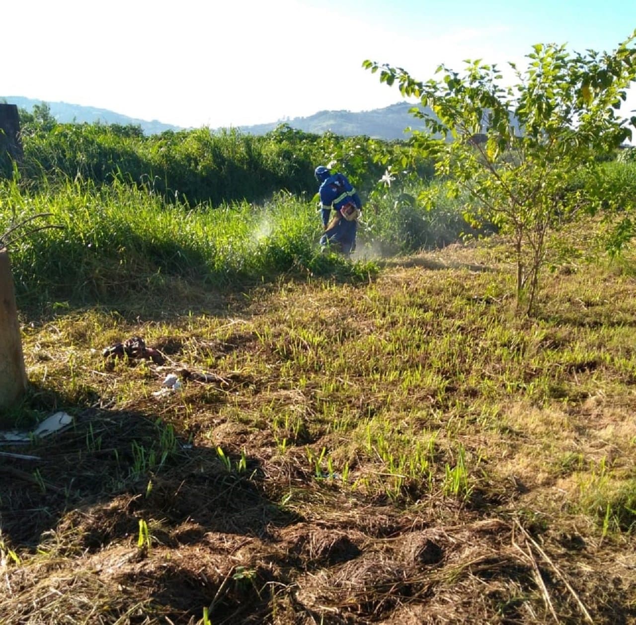 Tubarão mapeará praças e áreas verdes para otimizar limpezas e manutenções