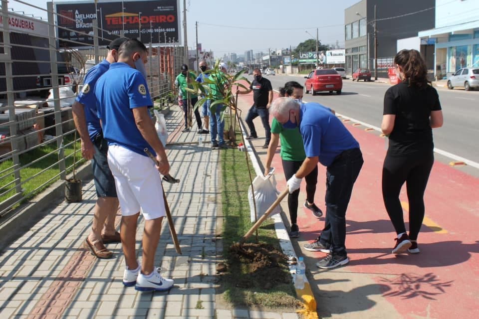 Avenida Padre Geraldo Spettmann terá reposição de mudas neste sábado (10)