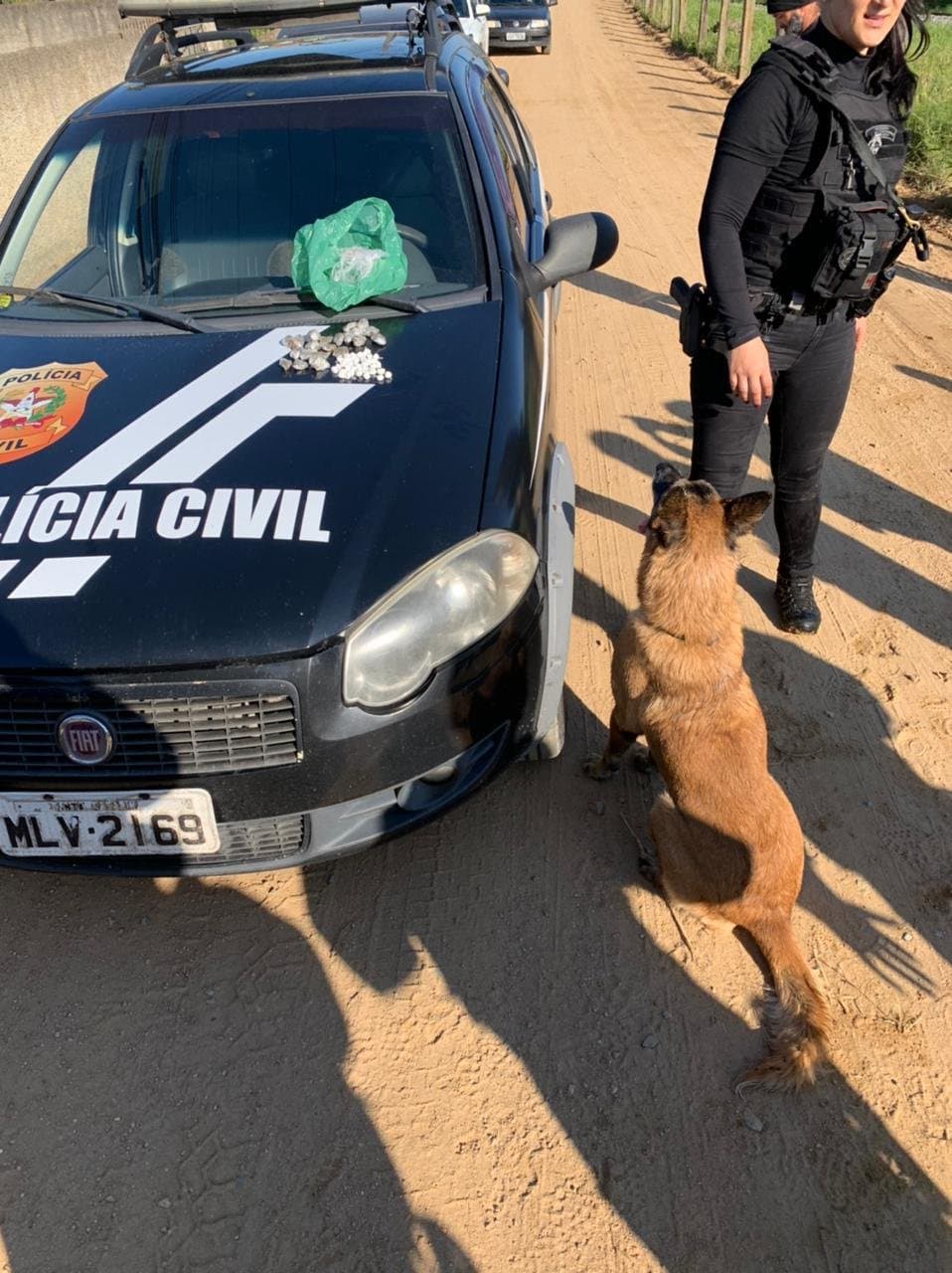 Operação Éris: Polícia Civil cumpre mandatos em Pescaria Brava