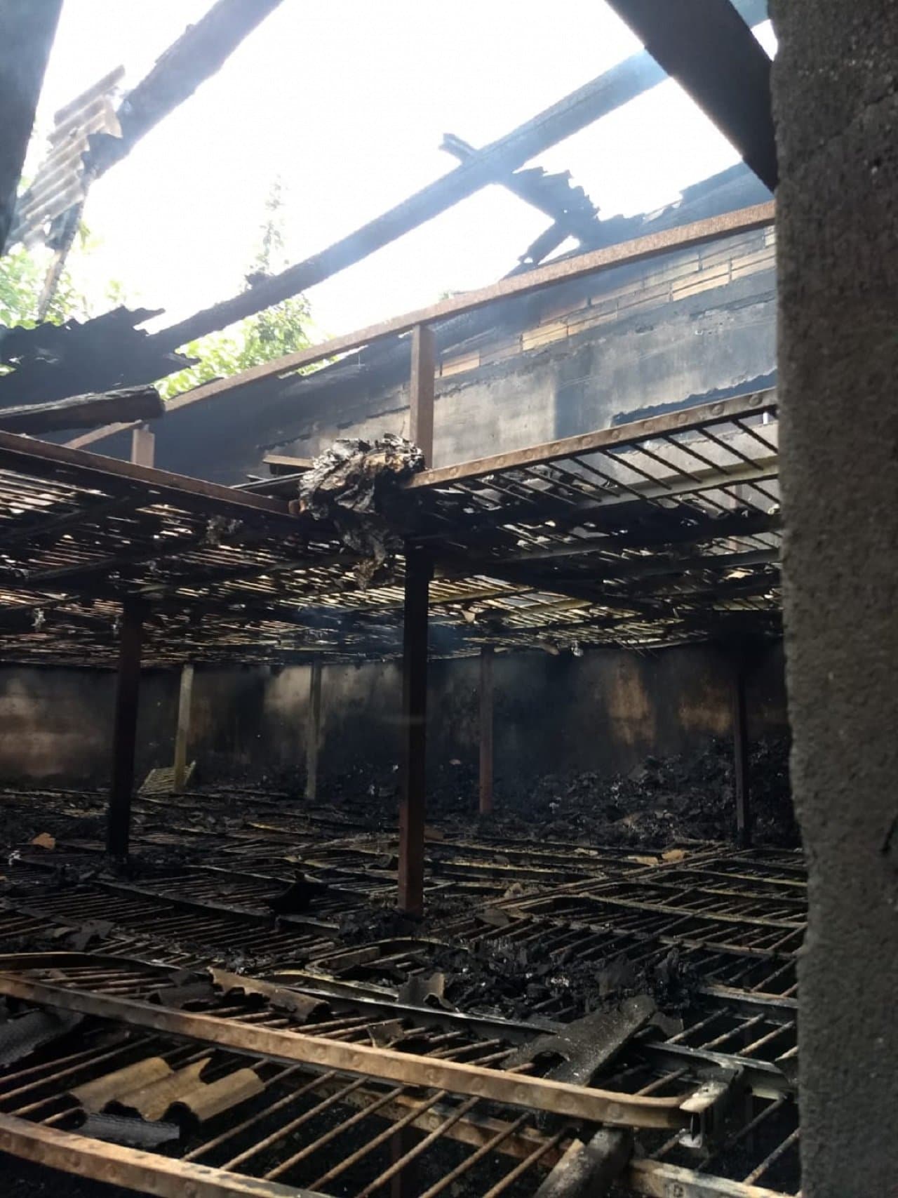 Estufa de fumo é destruída por incêndio e prejuízo chega a R$ 70 mil