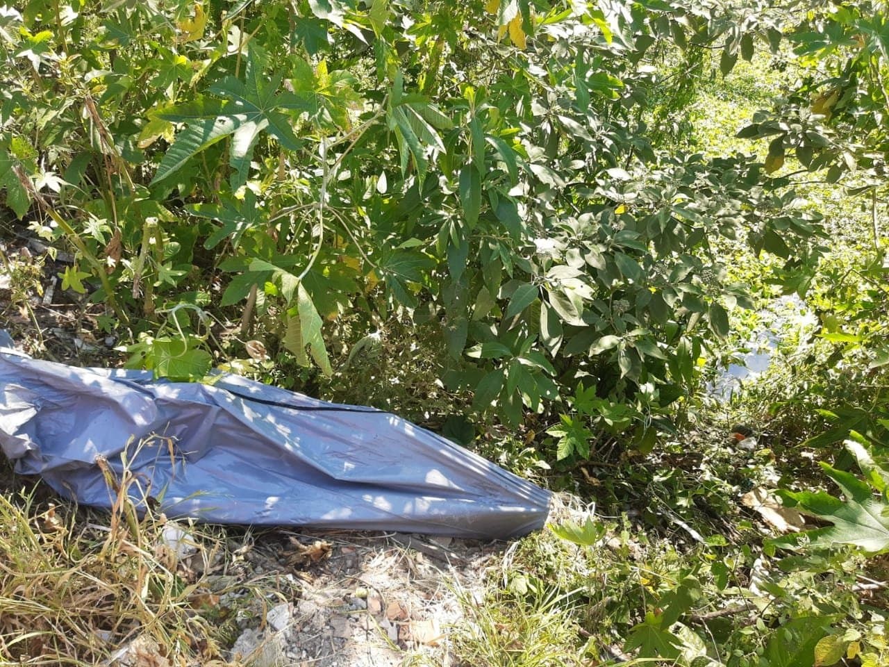 Corpo de idoso é encontrado no rio 24 horas após desaparecimento