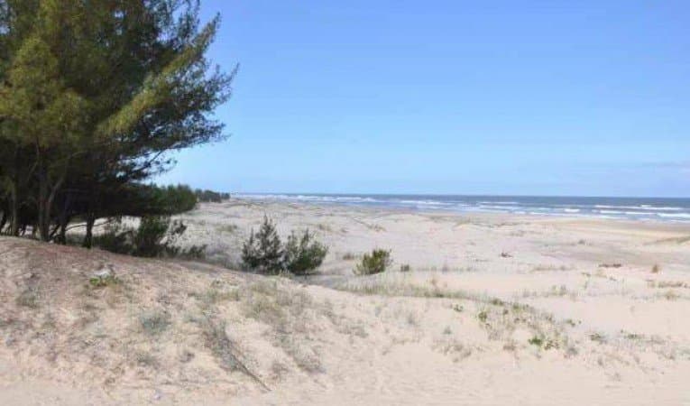 Homem encontrado carbonizado possuía tatuagem no peito