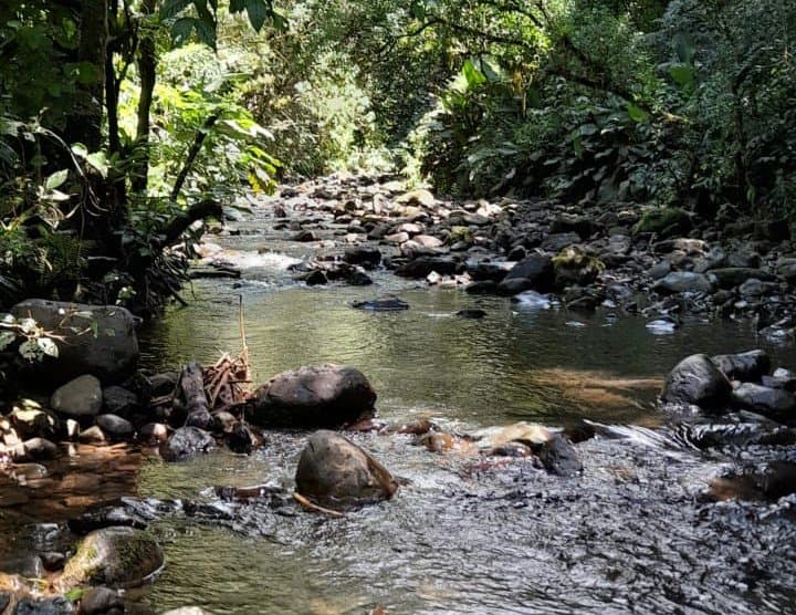 Homem morre após se afogar para salvar a mãe