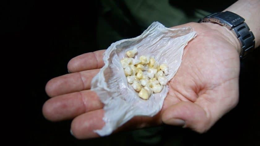 Adolescente é apreendido com 176 pedras de crack