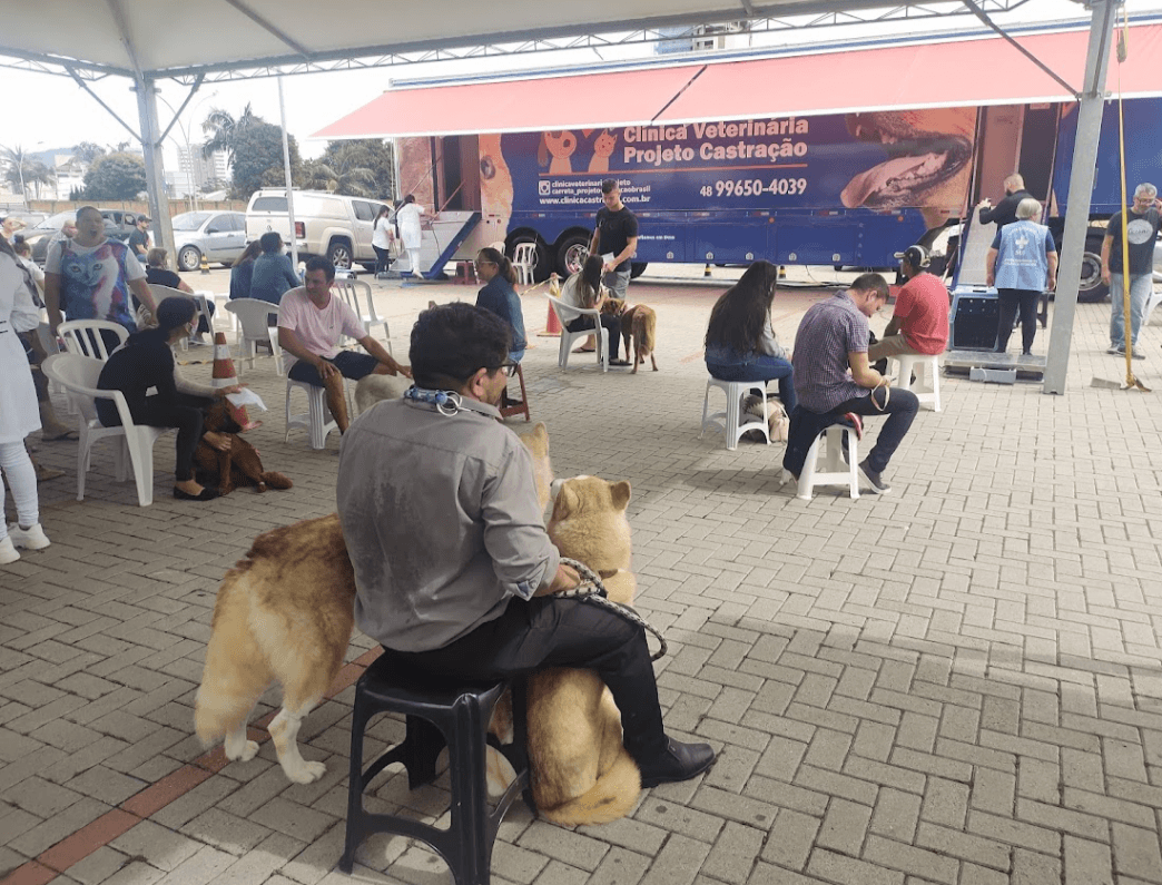 Mutirão de castração de animais ocorre neste domingo (1º) em Tubarão