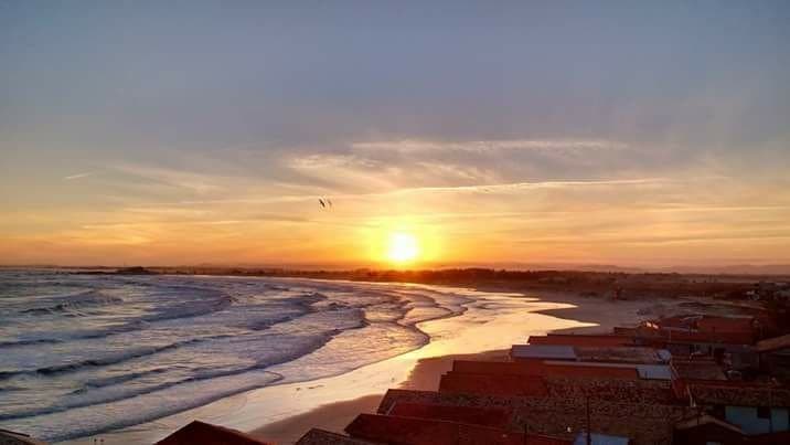 Mutirão de limpeza será realizado na Praia do Cardoso