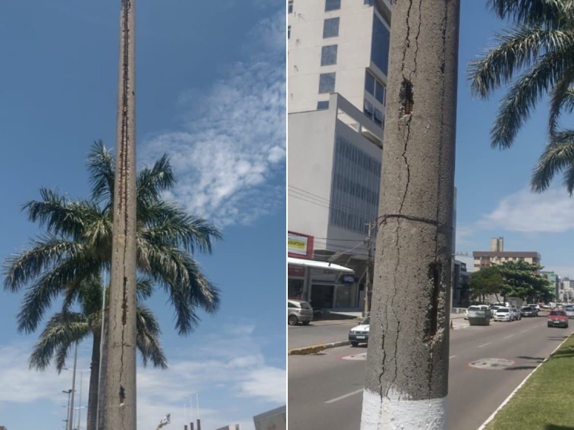Antigos postes de concreto da Avenida Marcolino começam a ser removidos