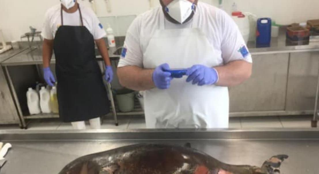 Toninha é encontrada sem vida em Laguna