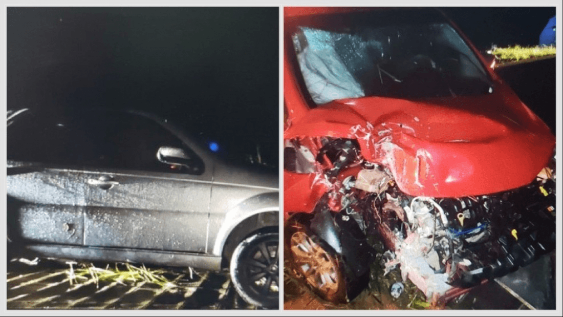 Vaca invade pista e causa acidentes na SC-370