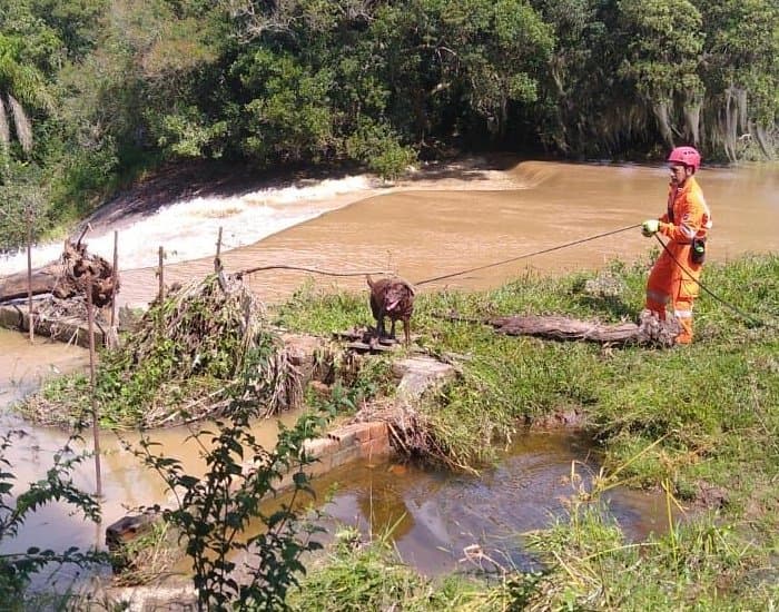 Corpo de homem que caiu no rio enquanto trabalhava é encontrado