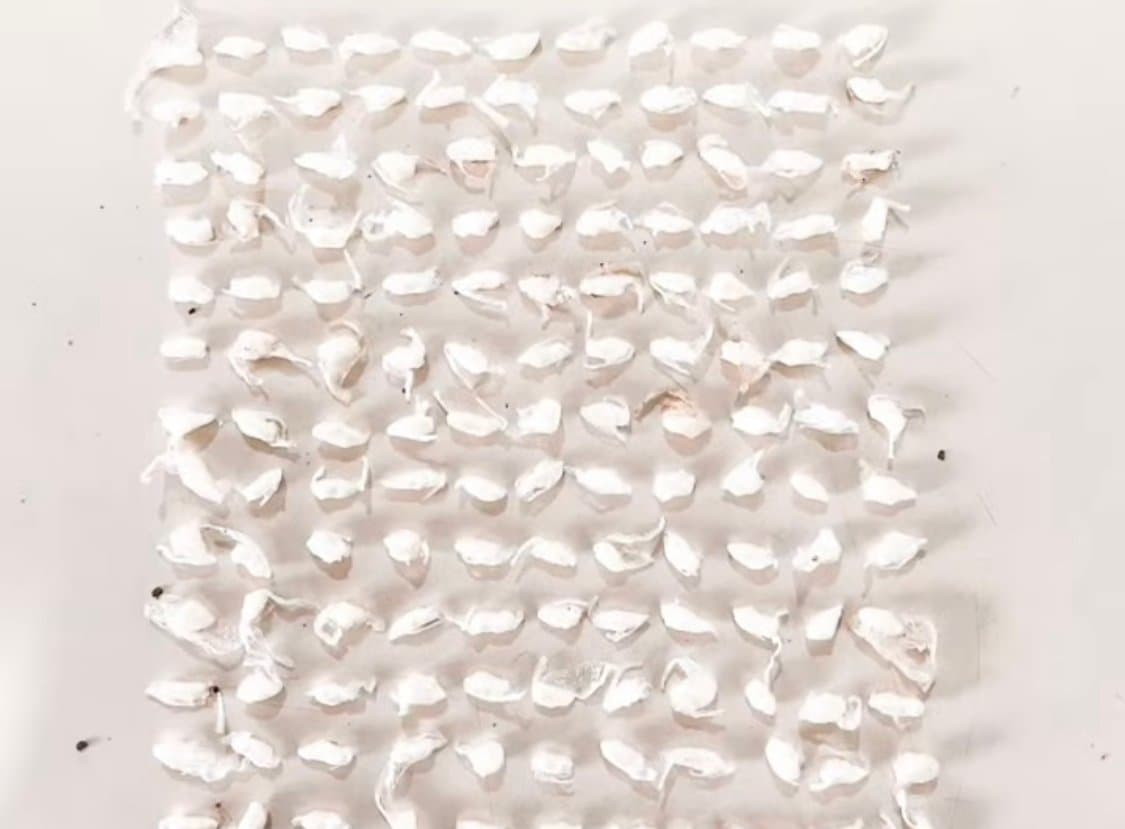 Mais de 140 pedras de crack são apreendidas em Tubarão