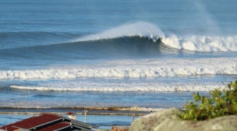 Surfistas e pescadores entram em acordo para não prejudicar safra da tainha