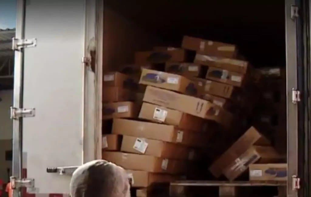 Oito toneladas de tainha são apreendidas em Laguna