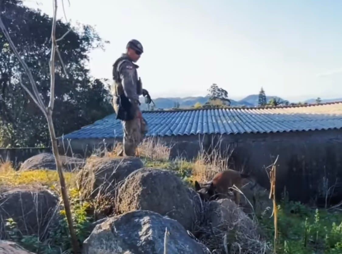 Porções de crack e maconha são encontradas escondidas próximo a Centro Social