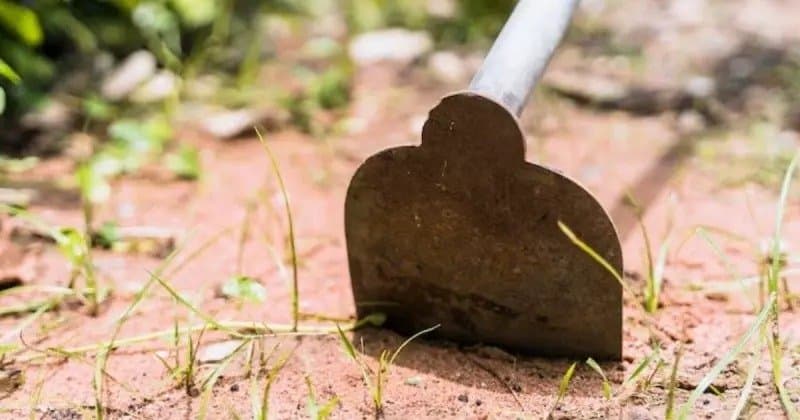 Homem ameaça ex-companheira com enxada e é preso em Laguna