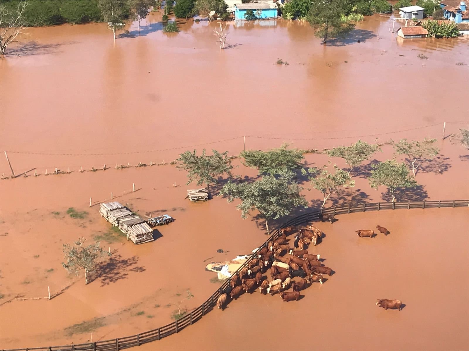 Número de mortes sobe para 41 após ciclone no Sul