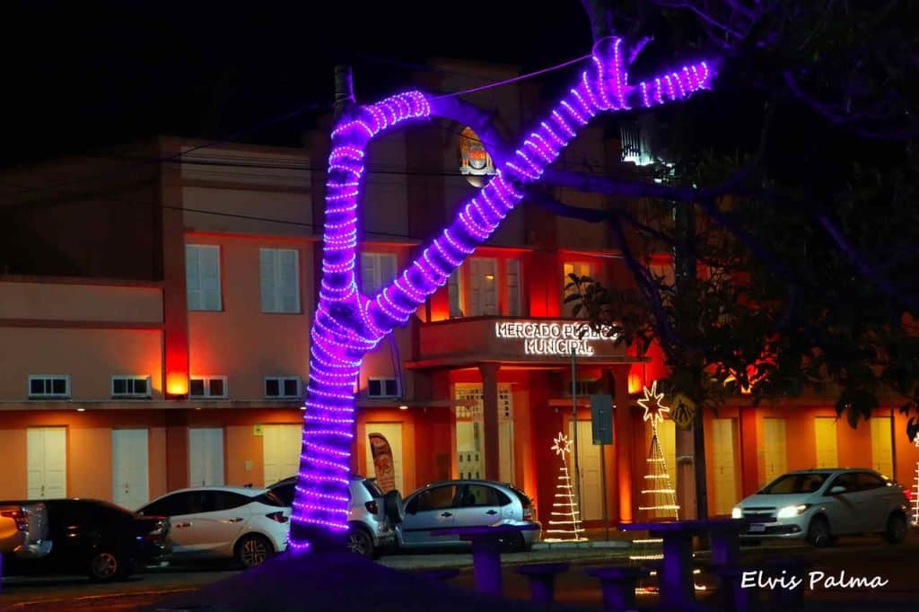 Mulher é presa por destruir decoração de Natal no Centro Histórico