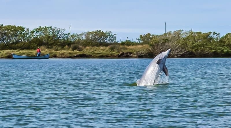 Restaurante na Ponta da Barra é multado em quase R$ 90 mil por poluição na lagoa