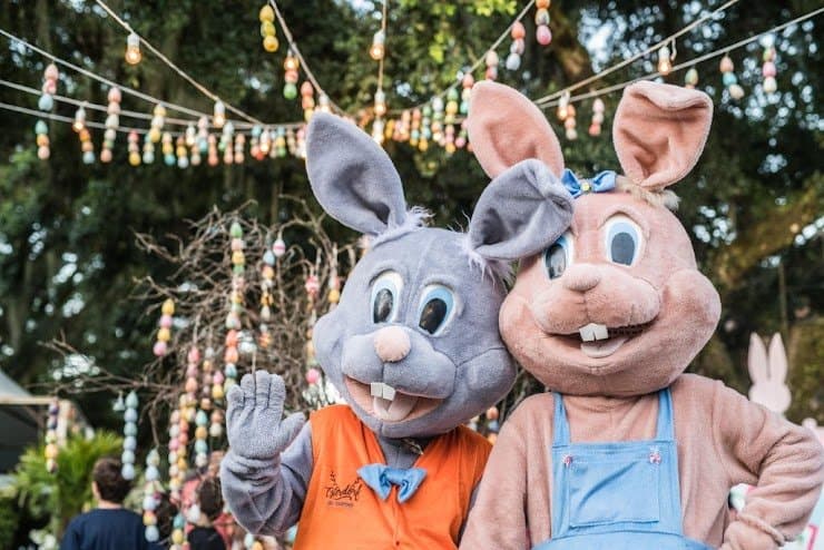 São Martinho promove votação para escolher nome da coelha mascote da 6ª Osterdorf