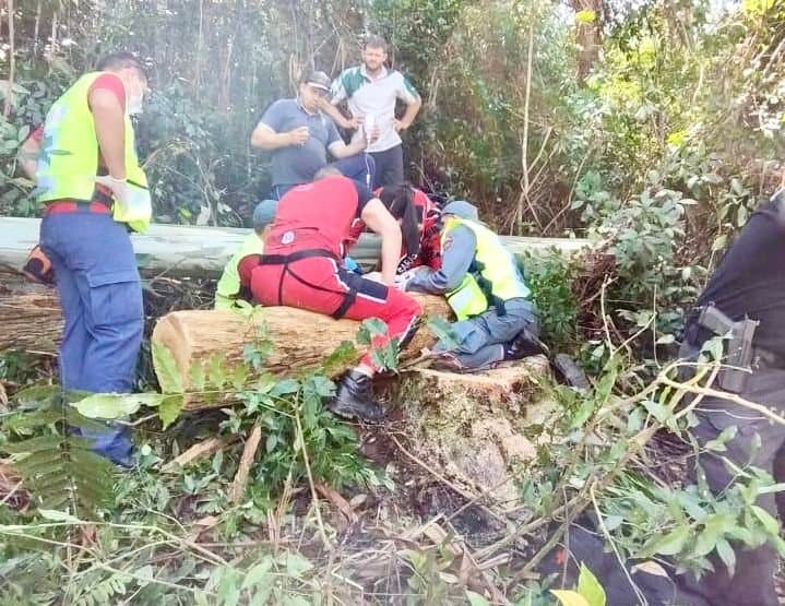 Homem fica gravemente ferido ao ser atingido por árvore