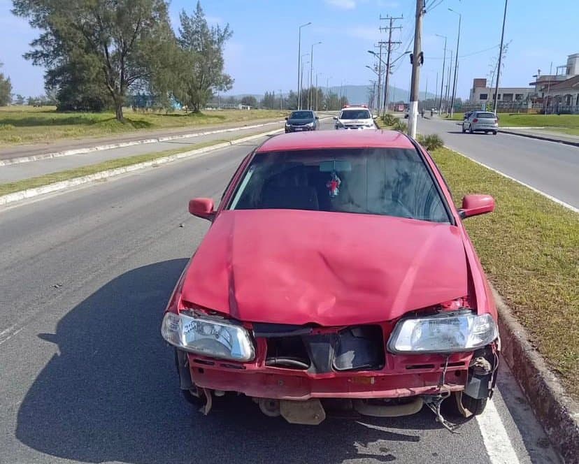 Cavalos soltos causam acidente em avenida de Laguna