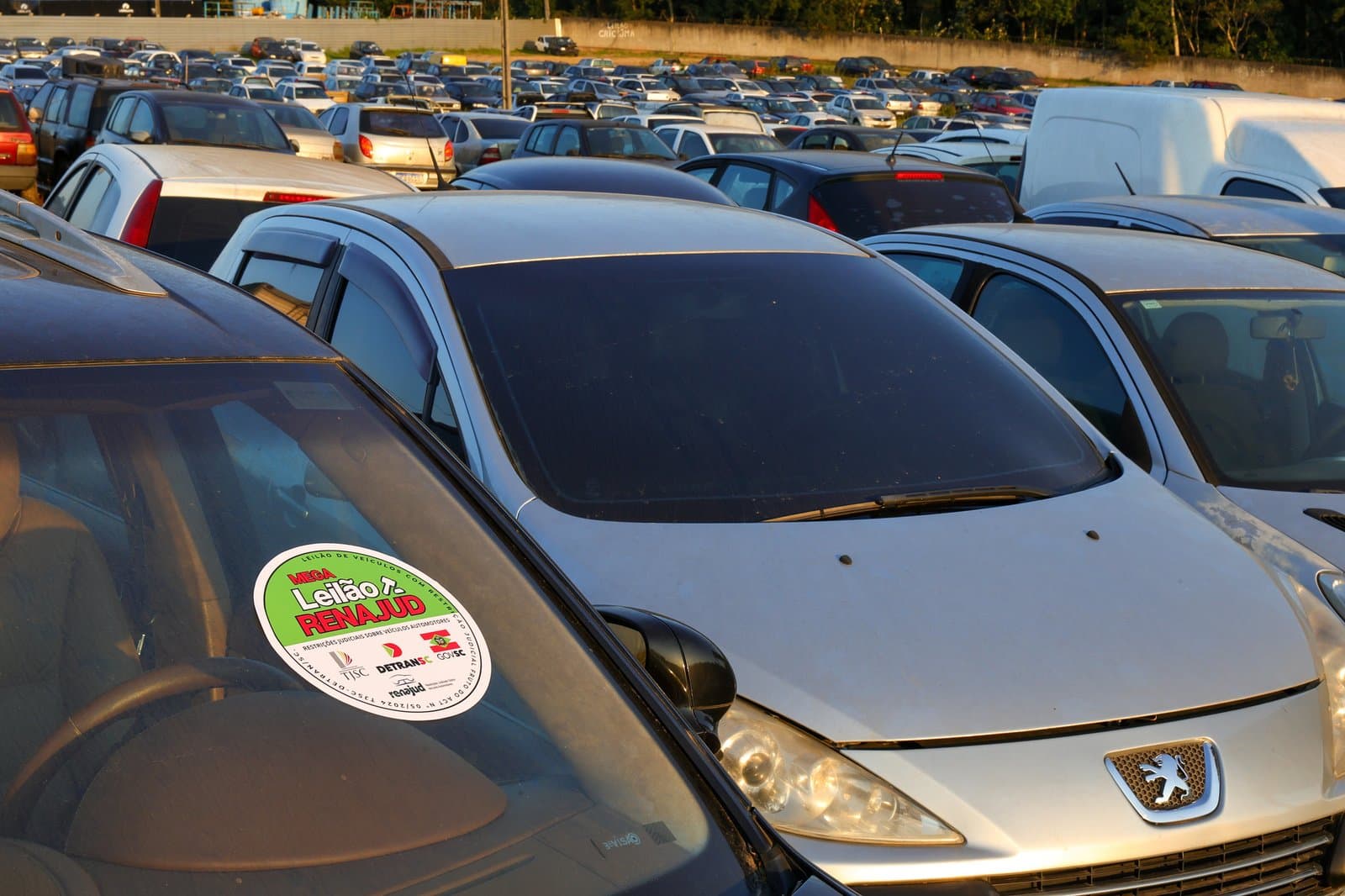Mais de 120 veículos serão leiloados pelo Detran nesta terça-feira (5)
