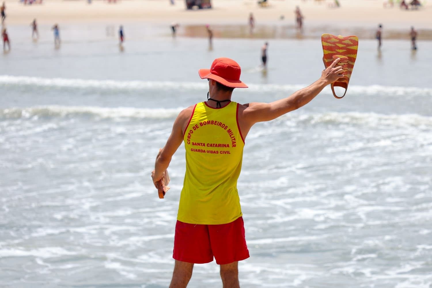 Corpo de Bombeiros registra 113 ocorrências envolvendo águas-vivas e realiza 85 salvamentos em sete dias