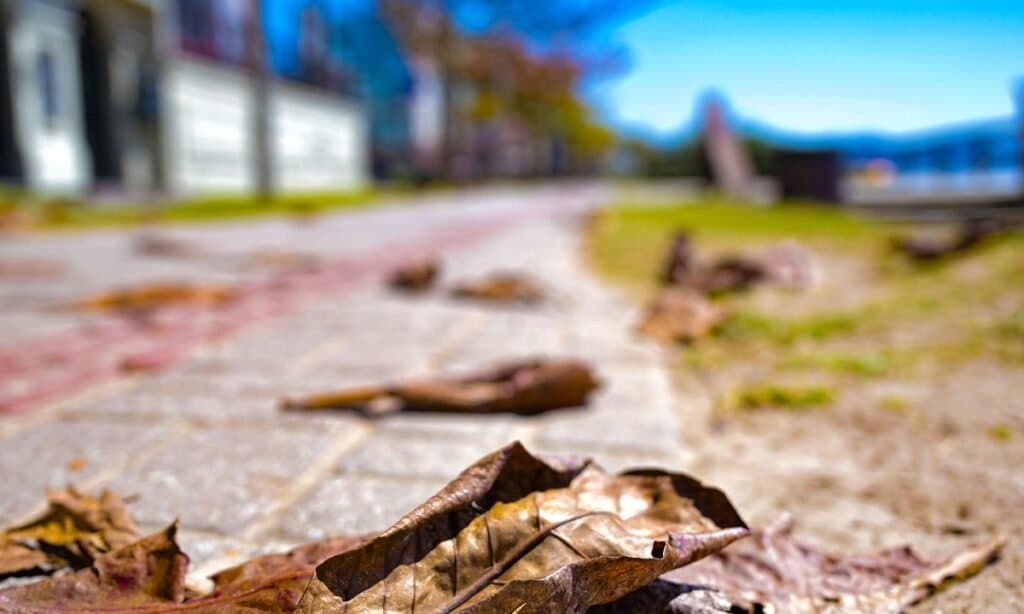 Outono começa com previsão de temperaturas acima da média em Santa Catarina