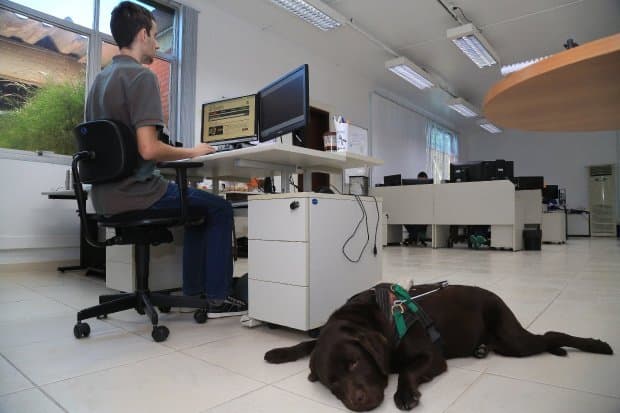 Cresce o número de pessoas com deficiências no mercado de trabalho em SC