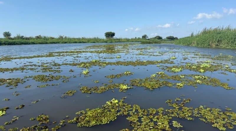 Vistoria técnica em rios é realizada para garantir escoamento e prevenir enchentes