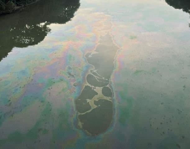 Instituto do Meio Ambiente é acionado para verificar vazamento de óleo no Rio Tubarão