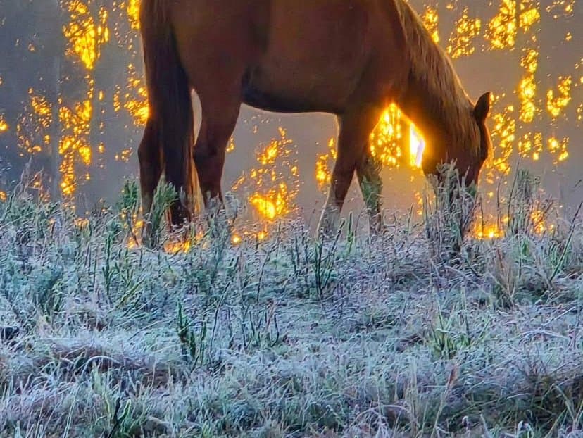 Frio intenso deve começar a perder força nesta quinta-feira (3)