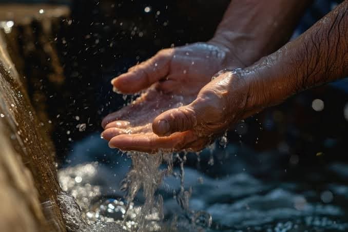 Quase metade dos municípios de SC enfrenta situação de seca