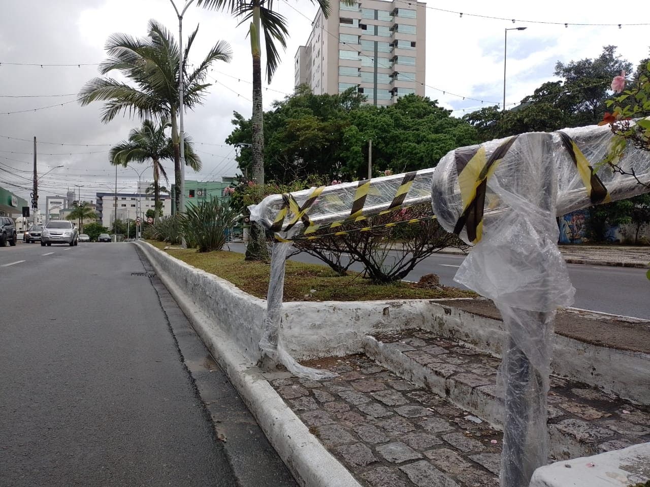 Engenheira doa projeto de paisagismo para canteiro da Marcolino Martins Cabral