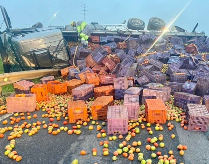 Caminhão carregado com tomates tomba na BR-101 e limpeza da pista dura mais de duas horas