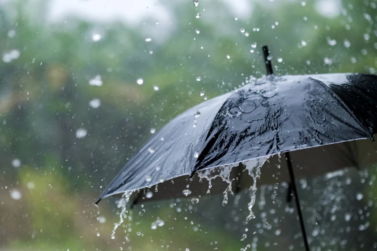Tubarão e Laguna estão entre os municípios com maiores quantidades de chuva de SC