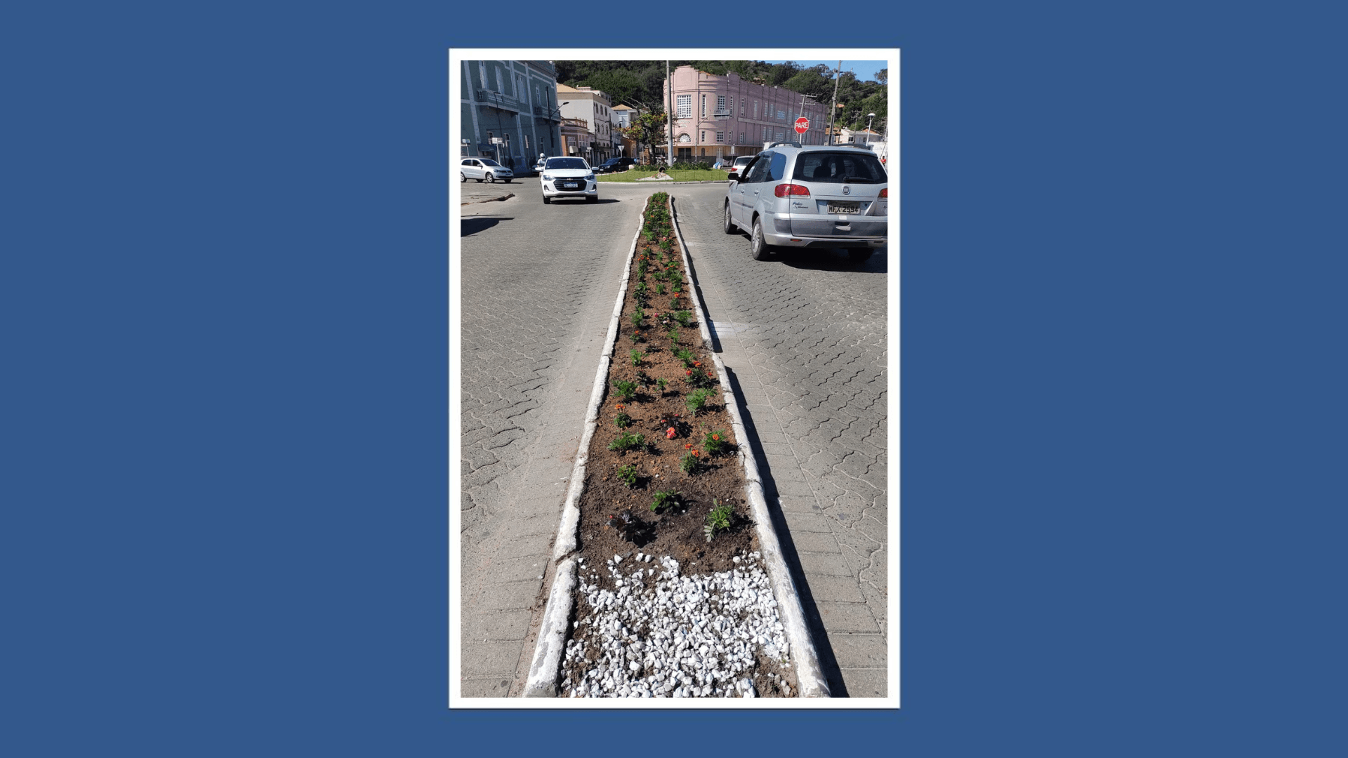 Horto Municipal de Laguna doa mudas para prefeitura