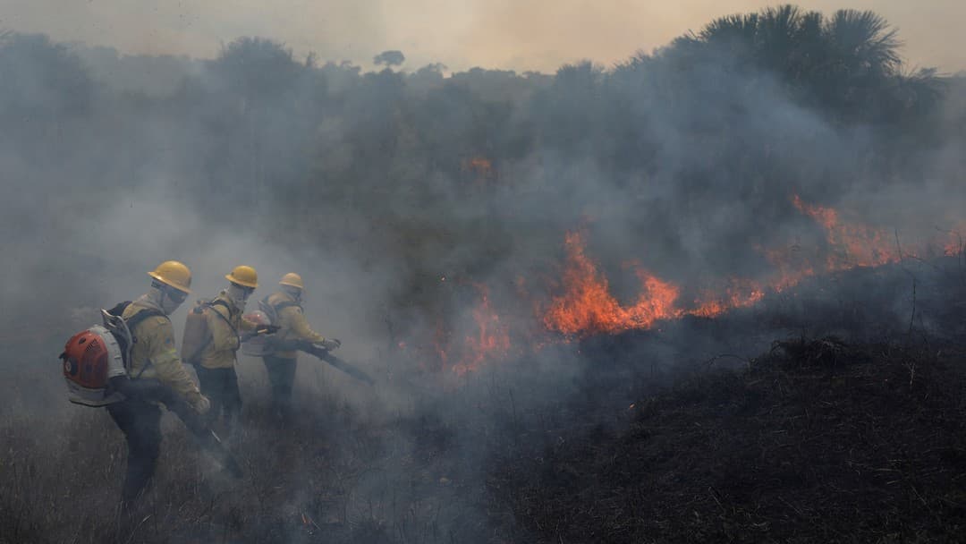 Amazônia perdeu o equivalente a dez vezes o estado do Rio de Janeiro em 37 anos