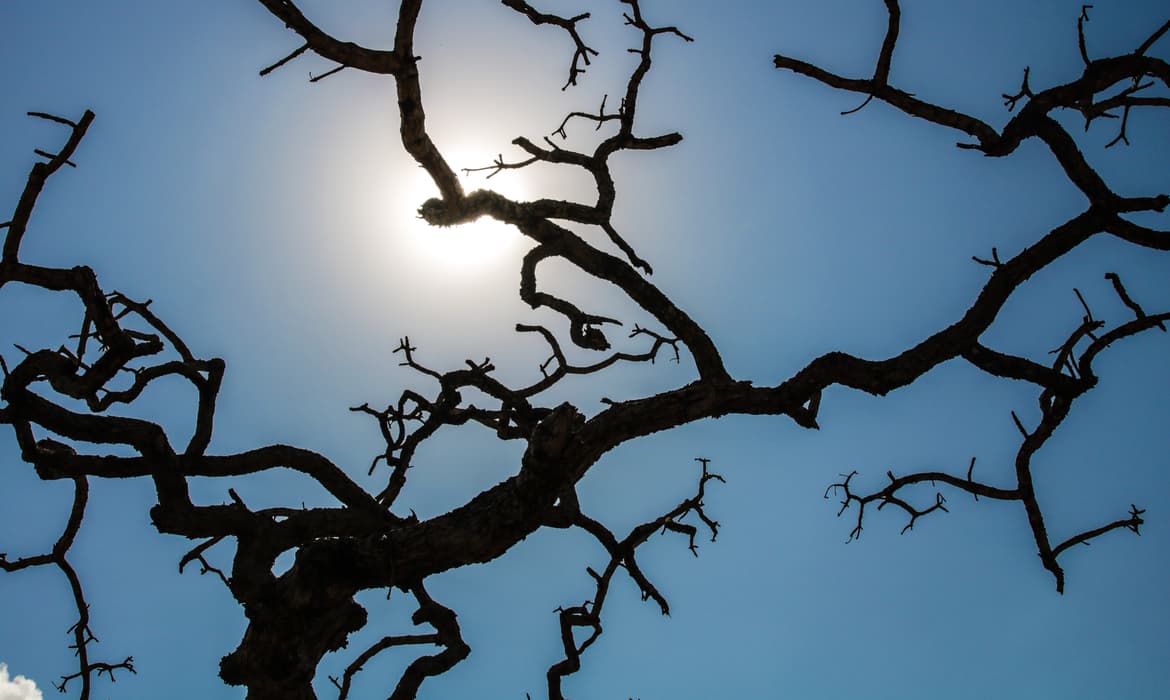 País registra recorde da temperatura média pelo quarto mês seguido