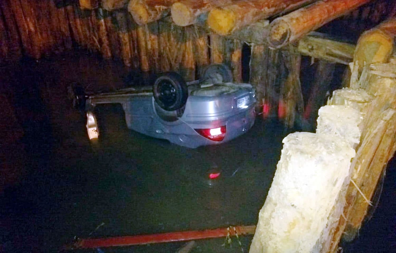 Carro com cinco ocupantes cai no rio ao passar por ponte em construção; cachorro não resistiu