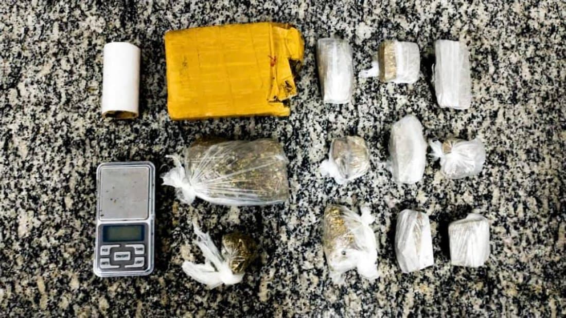 Cão policial localiza drogas em apartamento abandonado em Tubarão