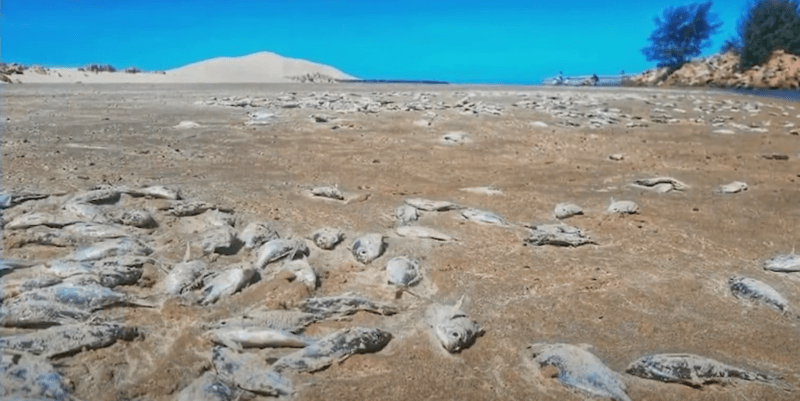 Novidades sobre o desassoreamento da Barra do Camacho devem ser divulgadas em breve