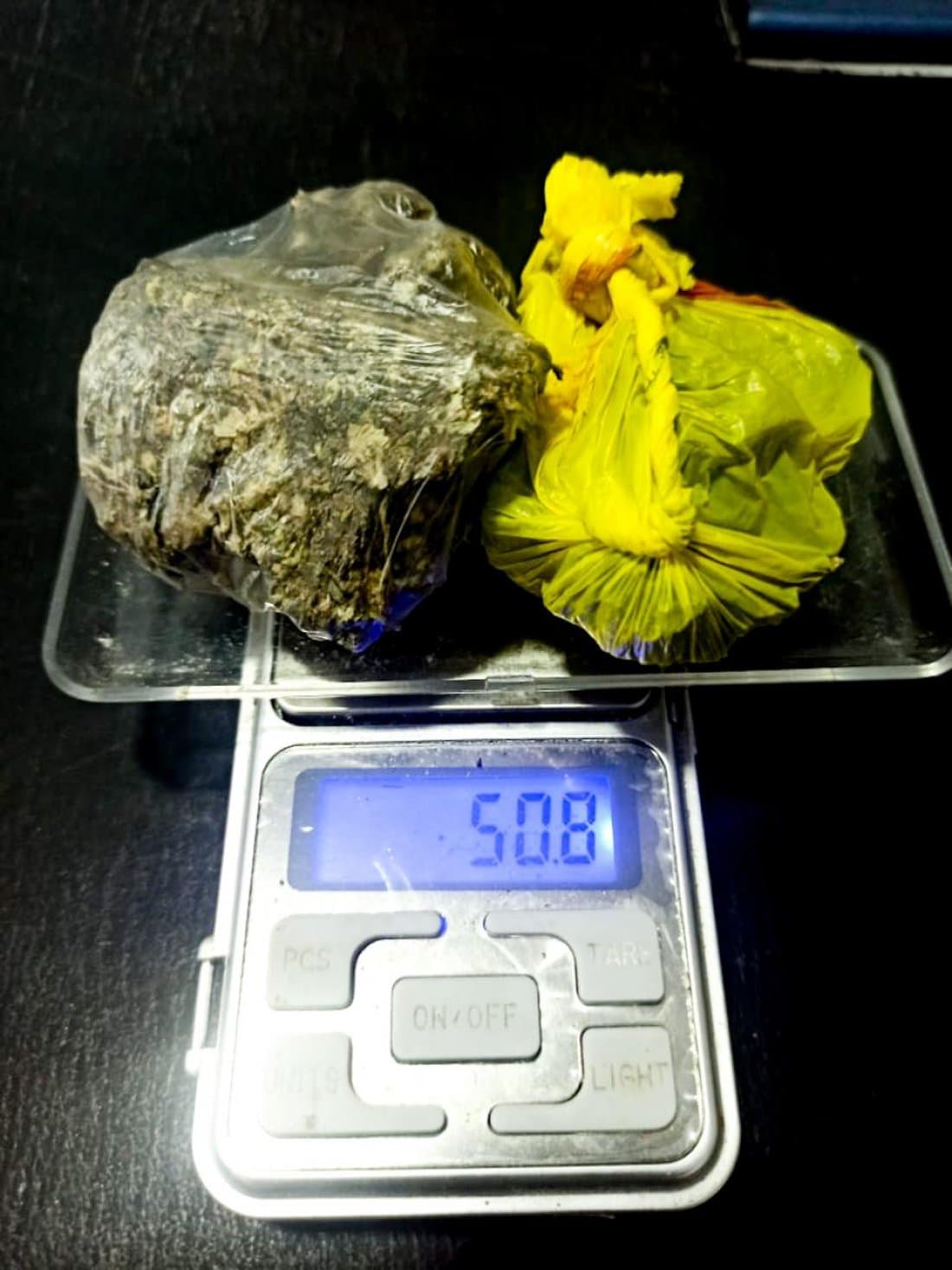 Maconha é encontrada em árvore pelo canil em Tubarão