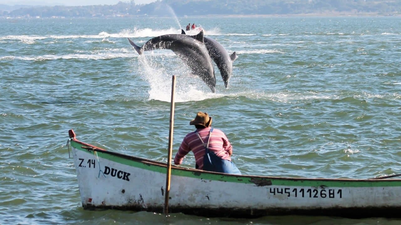 Dia do Pescador: profissão é o orgulho de Laguna