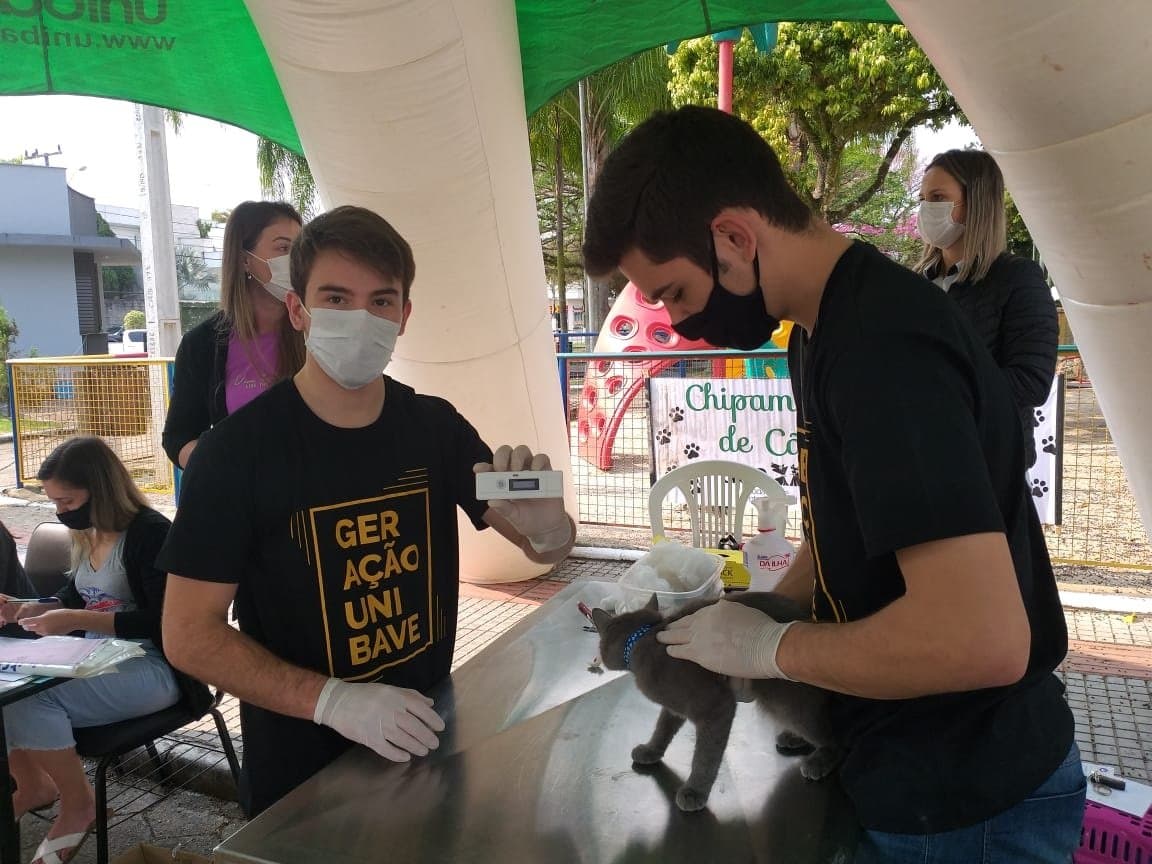 Quase 80 animais são chipados na 13ª fase do projeto em São Ludgero